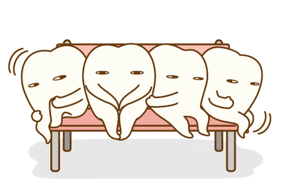 歯を入れたい